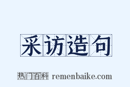 采访造句是什么意思的图片